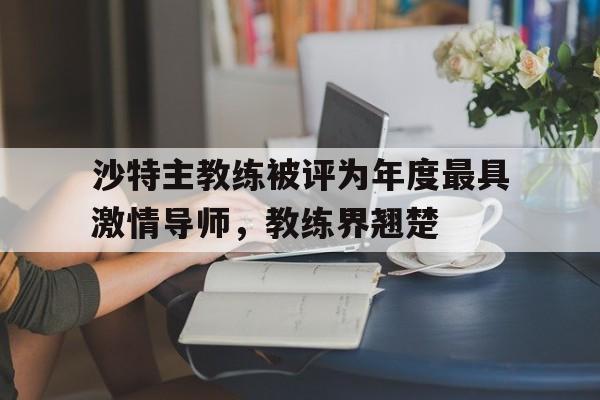 关于沙特主教练被评为年度最具激情导师，教练界翘楚的信息